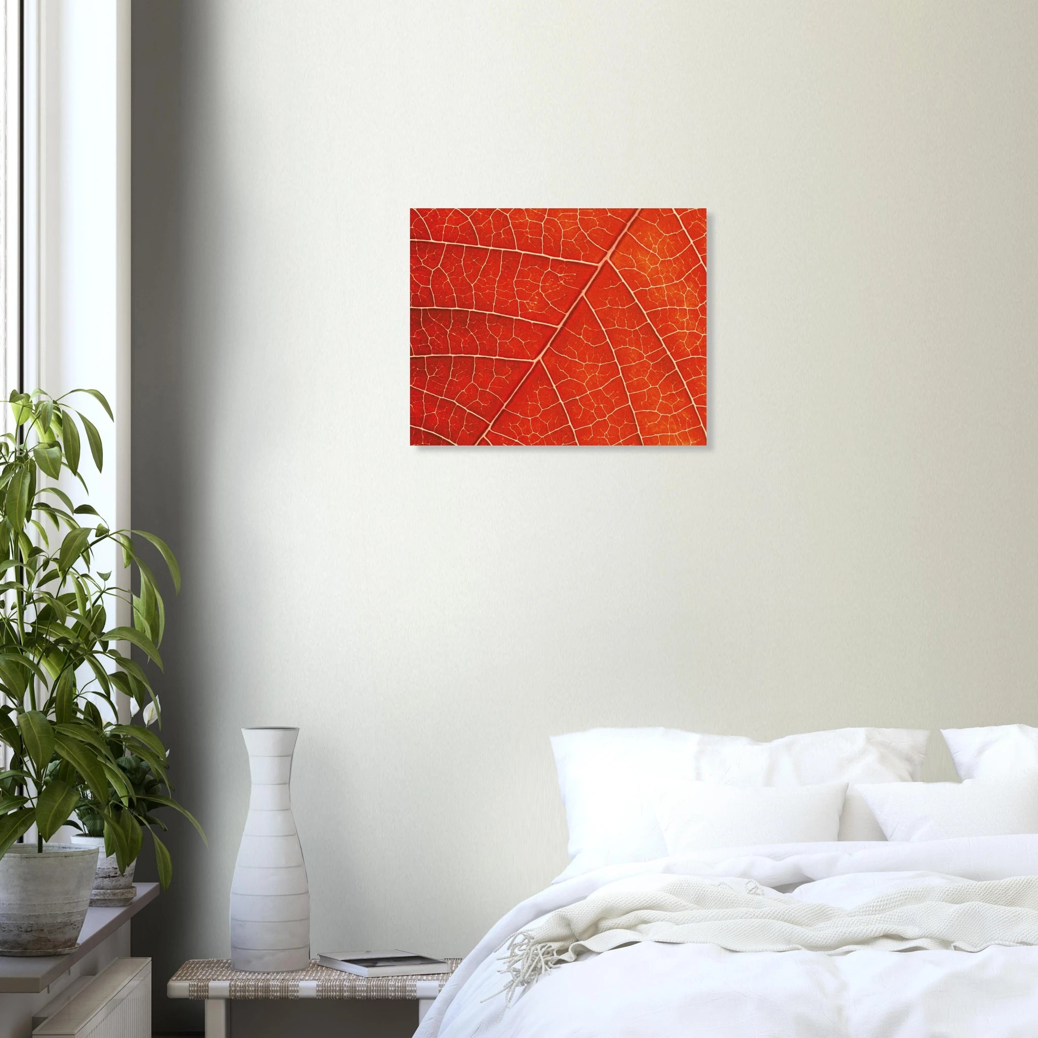 5b71c273-a98e-4874-b109-9e29ead63962